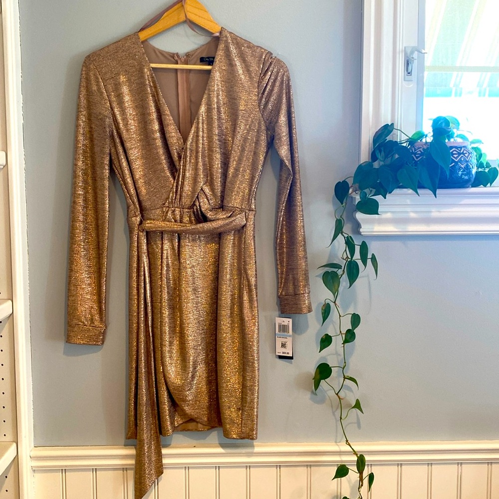 Rose Gold City Studio Dress